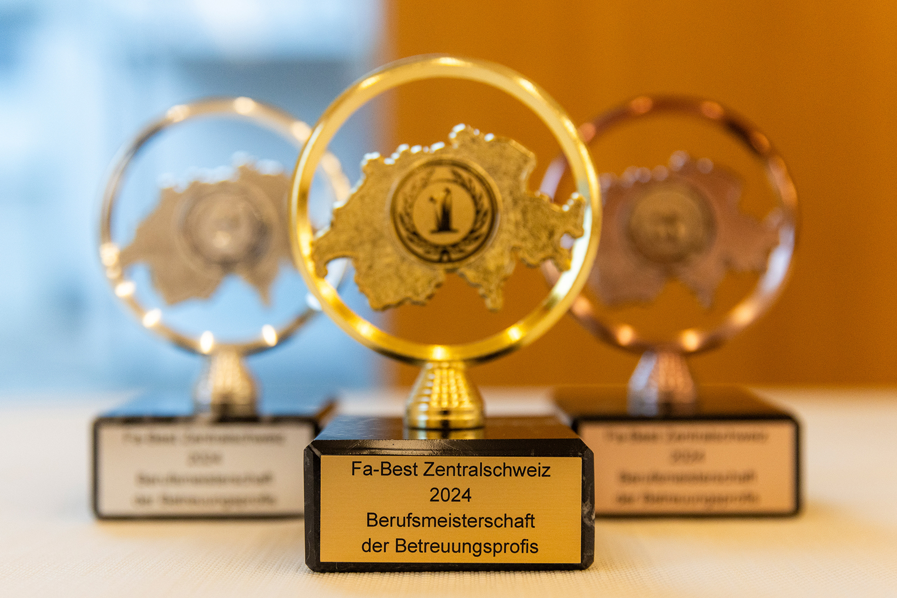 Als Fa-Best qualifizieren sich die besten FaBe für die SwissSkills